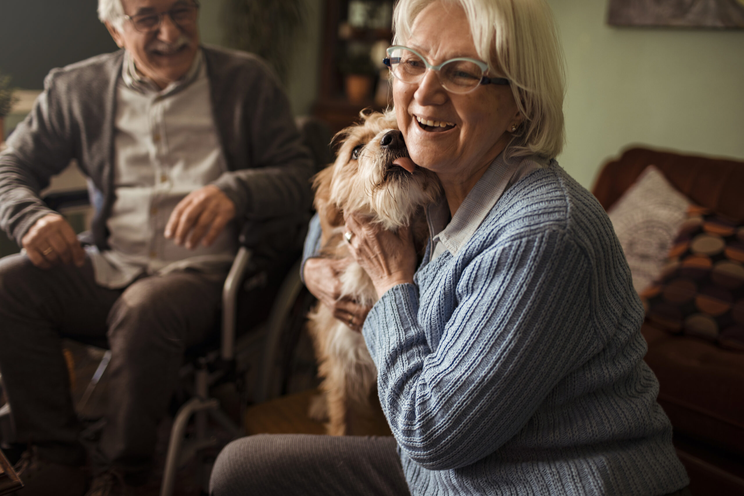 The Benefits of Seniors Having Pets